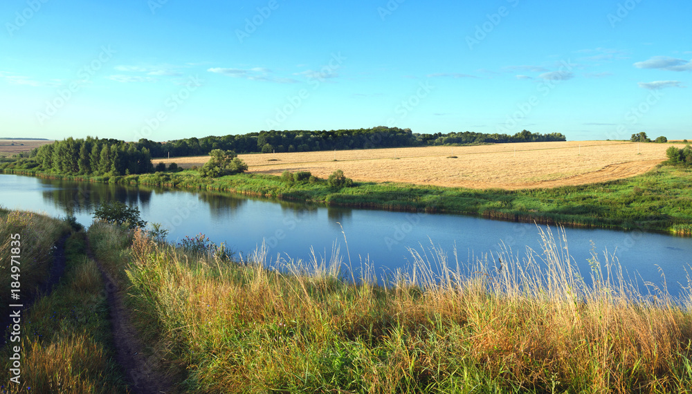 Sunny summer landscape with river and field of ripe wheat.River Krasivaya in Tula region,Russia.Countryside scene.