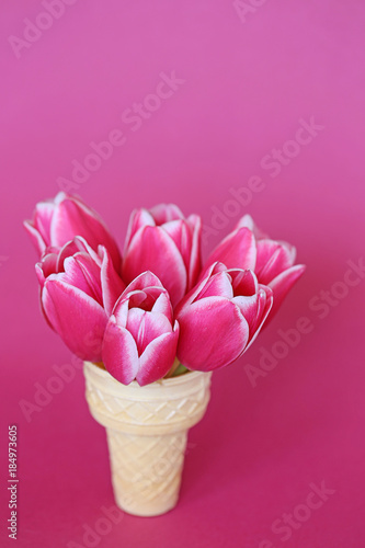 "Flower ice cream" pink with white tulips in a waffle horn on a pink  background. copy space. The first spring flowers © Yuliya