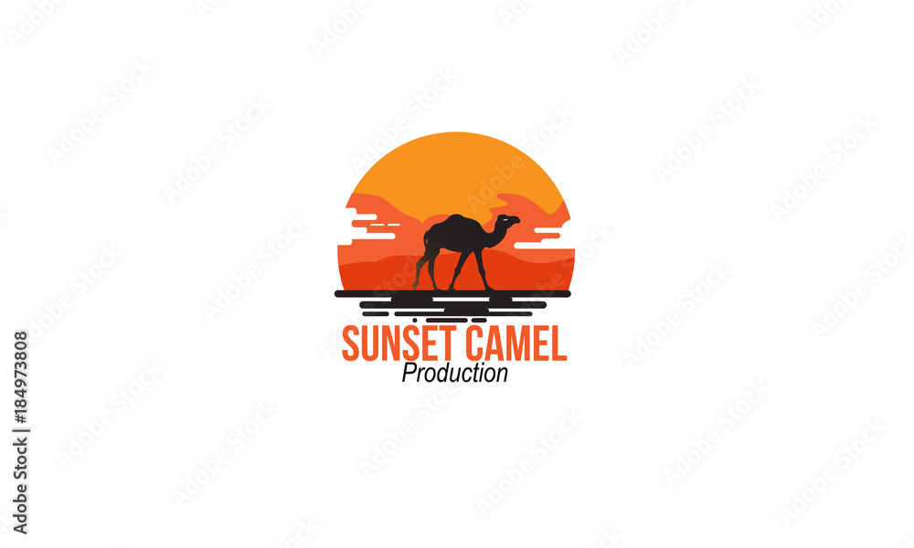 Fototapeta premium Sunset Camel Production