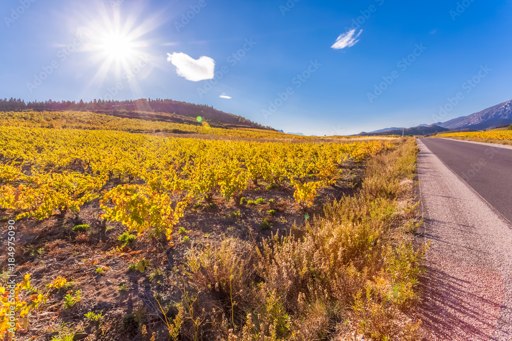 Obraz premium route des Côtes-Catalanes, Roussillon, France