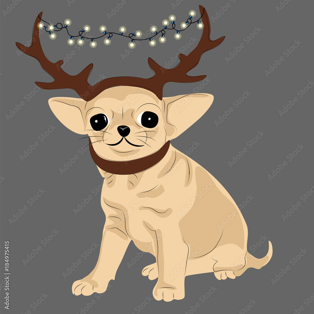 toy-terrier with horns of a Christmas deer toy-terrier with horns of a Christmas deer
