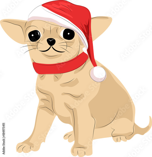 that terrier in a Santa Claus hat