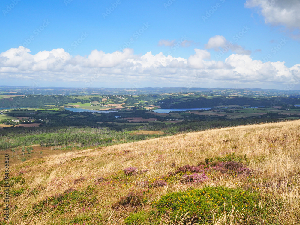 Fototapeta premium On the top!