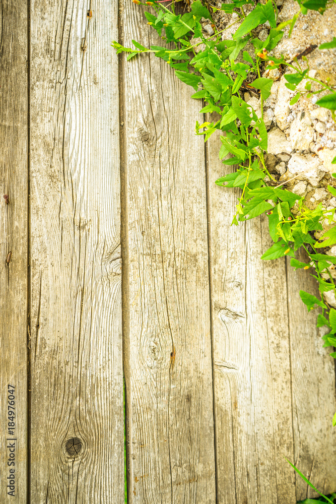 wooden background with grass and flowers in the corner wooden background with grass and flowers in the corner