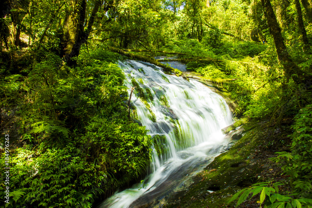 Rainforest waterfall in deep jungle
