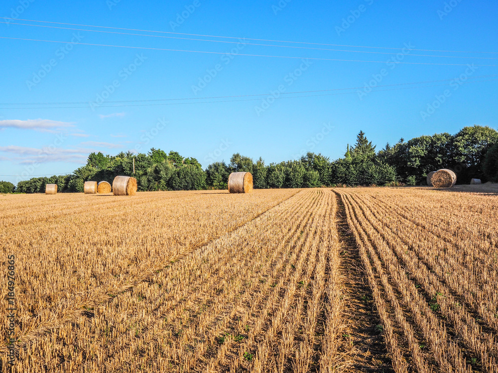 Countryside life Countryside life
