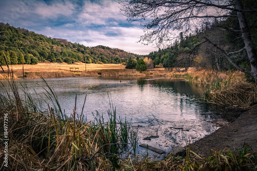 Palomar Mountain State Park photo