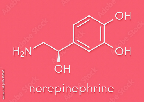 Norepinephrine (noradrenaline, norepi) hormone and neurotransmitter molecule. Skeletal formula. photo