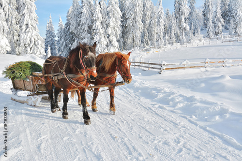 Winter in Transylvania