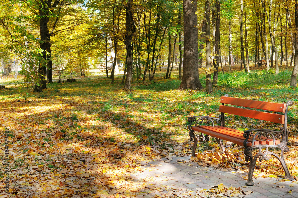 Beautiful autumn park with paths and benches. Beautiful autumn park with paths and benches.