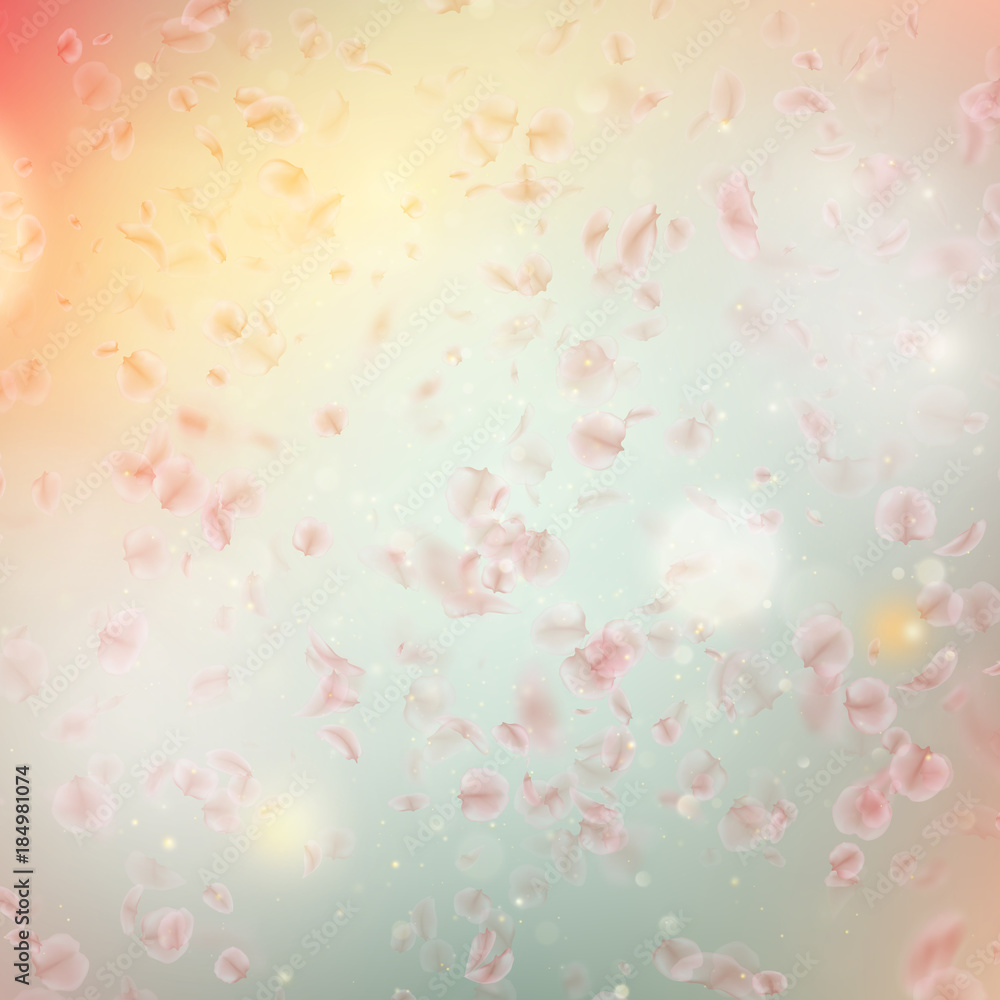 Sakura flying downwind petals on wind. EPS 10 vector Sakura flying downwind petals on wind. EPS 10 vector