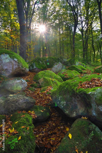 Fototapeta Naklejka Na Ścianę i Meble -  A pathway trough some rocks and trees