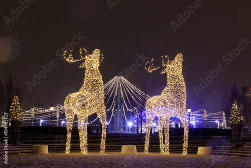 Photography Gigantic reindeers christmas decoration made of led light