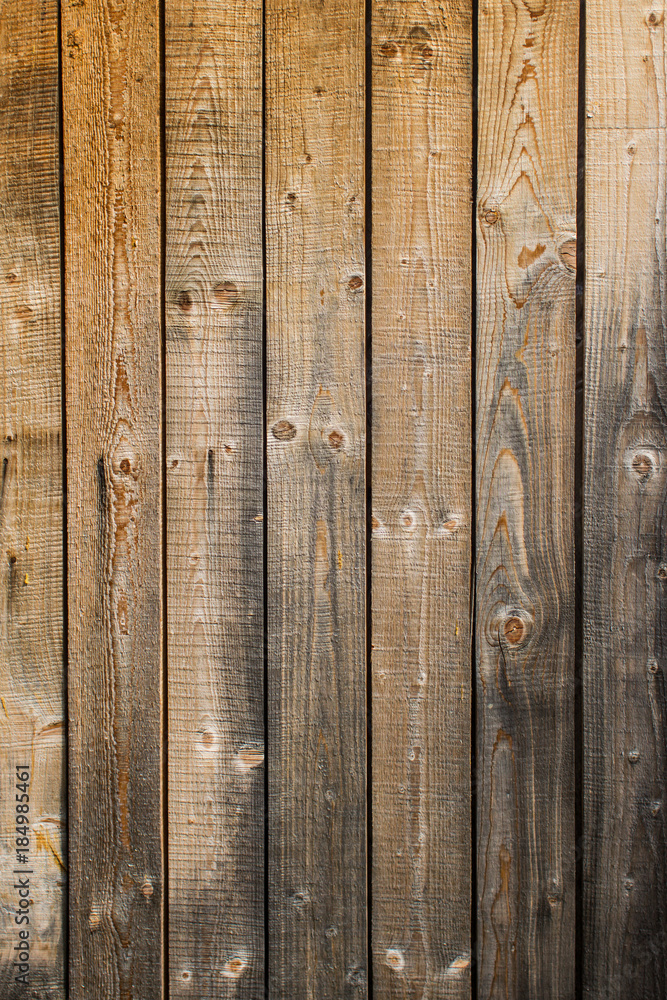 Fototapeta premium Wood texture