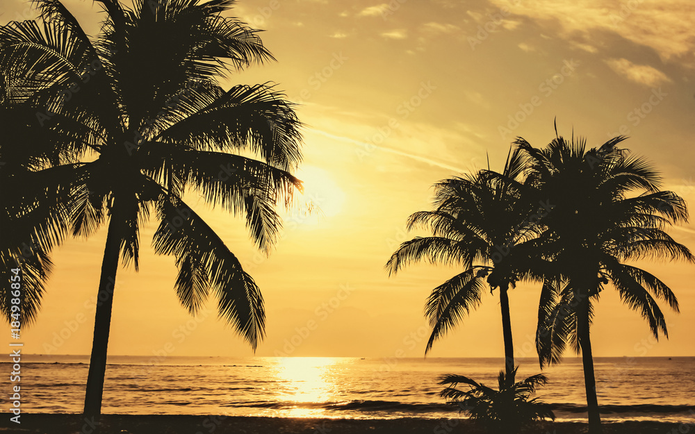 palm trees sunset beach