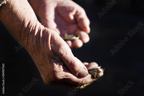 - Old wrinkled hands hold coins in the palm of a hand against a dark background © Pavlo