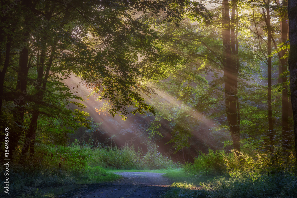 Obraz premium Landscape Flevoland Netherlands