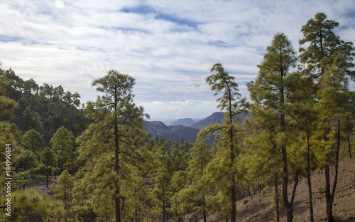 Inland Gran Canaria © Tamara Kulikova