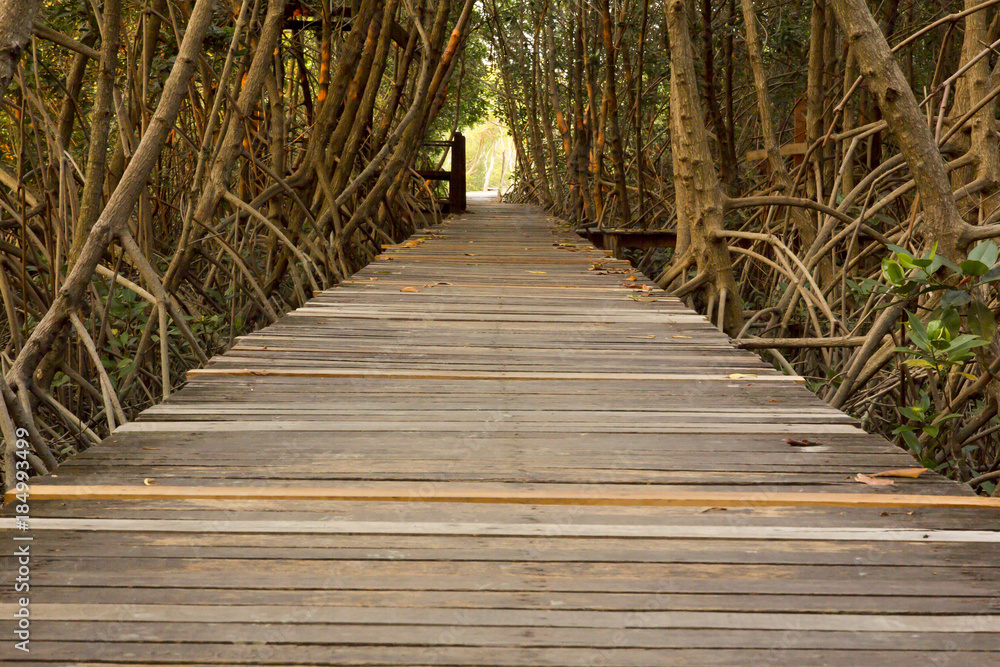 Wooden Bridge in Mangrove Forest at Laem Phak Bia Wooden Bridge in Mangrove Forest at Laem Phak Bia