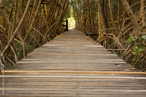 Wooden Bridge in Mangrove Forest at Laem Phak Bia