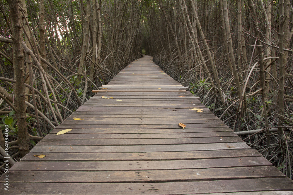 Wooden Bridge in Mangrove Forest at Laem Phak Bia Wooden Bridge in Mangrove Forest at Laem Phak Bia