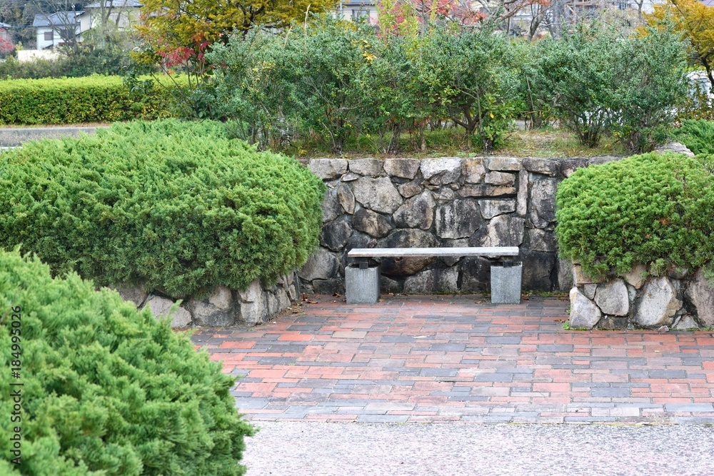 手入れされた公園の低木 手入れされた公園の低木