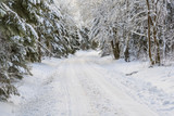 Winter dirt road through the forest with snow and frost