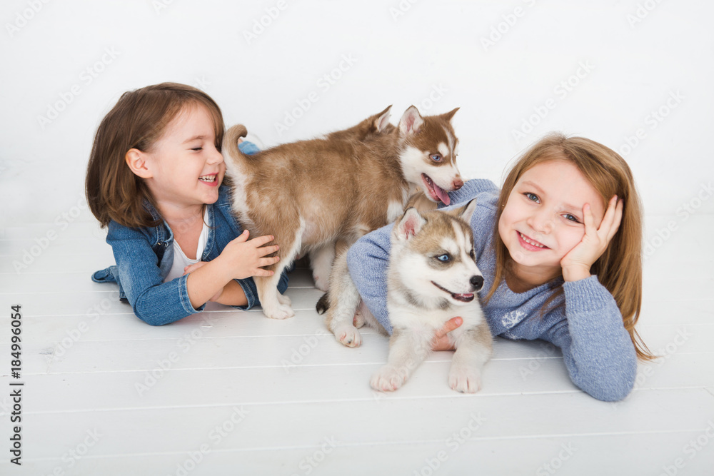 Happy Little girls lying on a floor and hugging with the puppy husky dogs