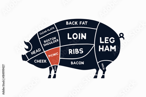 Meat cuts. Diagrams for butcher shop. Scheme of pork. Animal silhouette pork. Vector illustration.