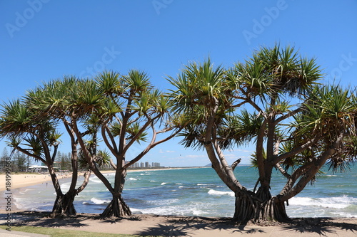 Churinga Park Alexandra Headland at Sunshine Coast  Queensland Australia
