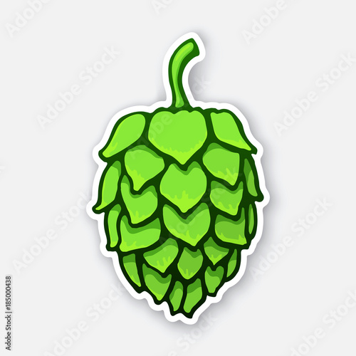 Vector illustration. A green cone of hop. Symbol of alcoholic beverage. Sticker with contour. Isolated on white background. Decoration for patches,  prints for clothes, emblems, signboards,  labels