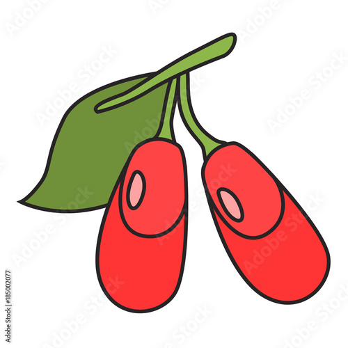 berry flat icon