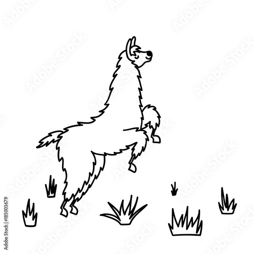 Vector illustration. Cute character lama