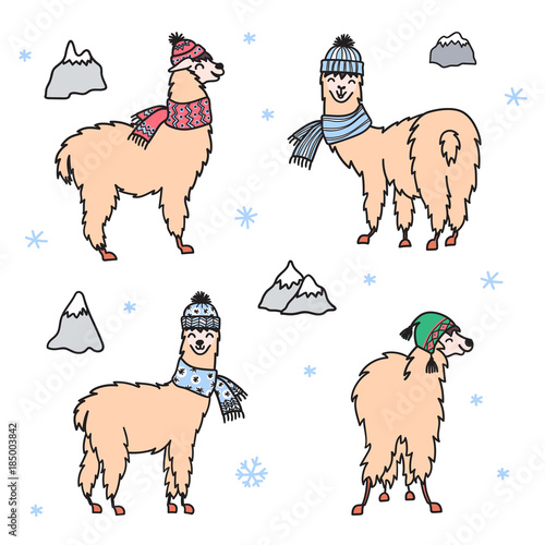 Vector illustration. Cute character lama