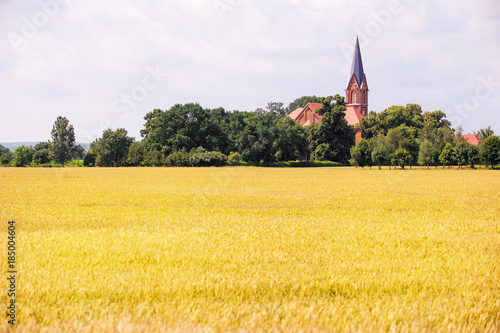 ein kleines Dorf in Brandenburg ( Deutschland ) liegt hinter einem Kornfeld, ein Kirchturm ragt zwischen Bäumen hervor photo