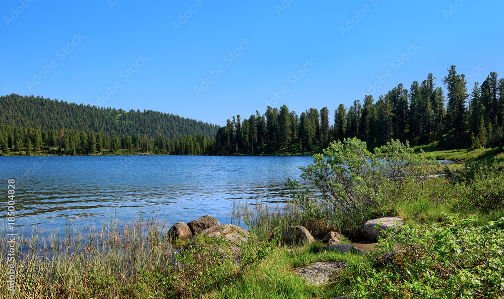 Obraz premium Shore of blue lake in taiga