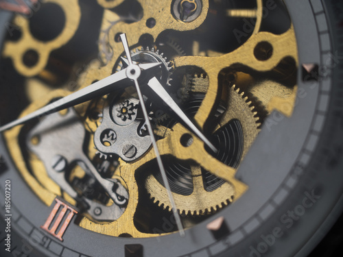 Mechanical skeleton watch with visible gears
