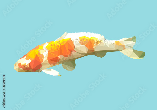 polygonal fancy carp, geometric polygon koi fish, isolated vector animal