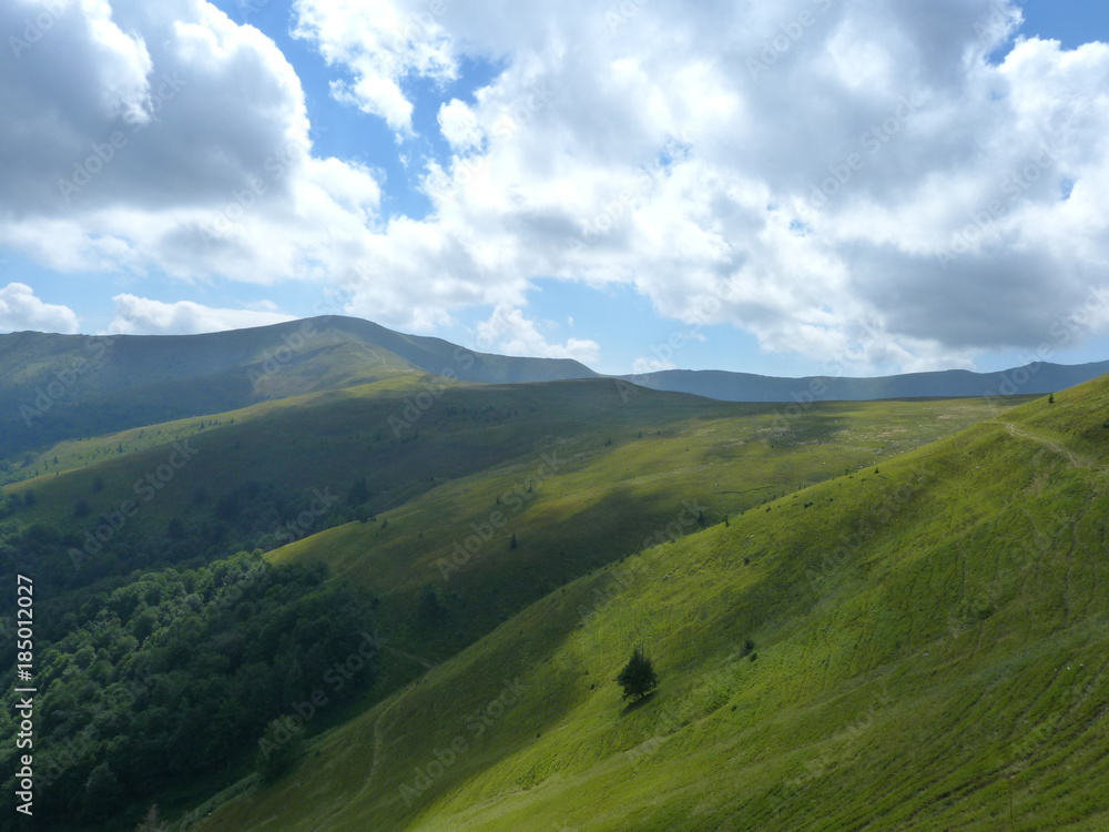 landscape of forests on the slopes of the Borzhava mountain range.