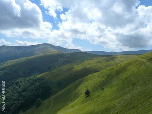 landscape of forests on the slopes of the Borzhava mountain range.