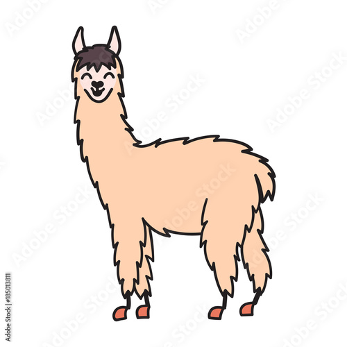 Vector illustration. Cute character lama