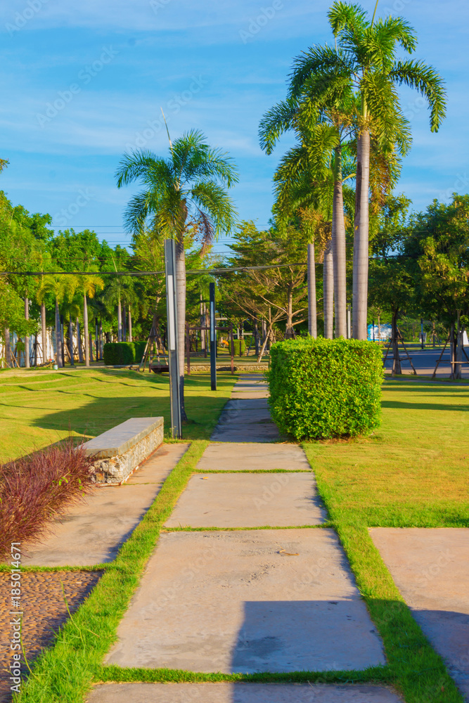 Fototapeta premium walk way concrete in garden