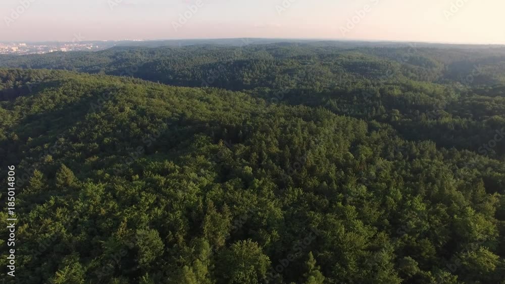 Aerial of Summer Forest Green Treetops Aerial of Summer Forest Green Treetops