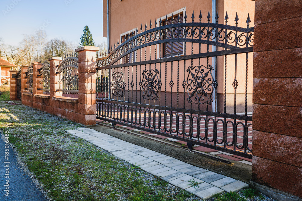 Iron fence with iron gate - obrazy, fototapety, plakaty 