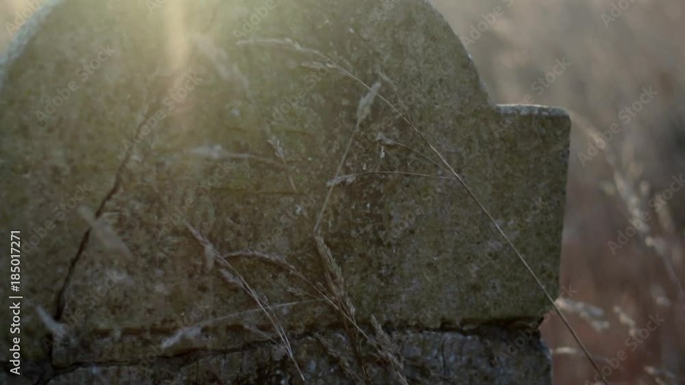 Antique Gravestones on Old Jewish Cemetery at Sunrise Steadicam Antique Gravestones on Old Jewish Cemetery at Sunrise Steadicam