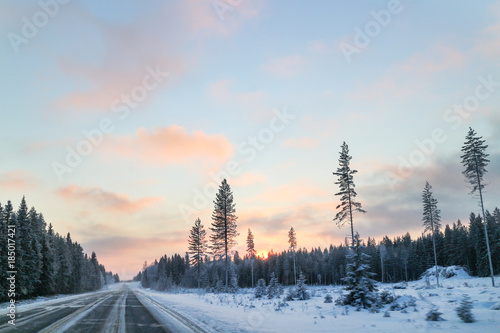 Winter forest road and pastel sky