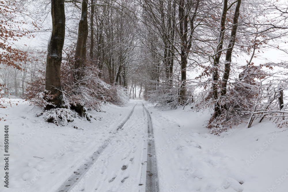 Obraz premium Straße im Winter in der Eifel
