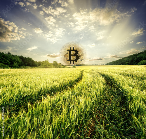 Road in the field leads to the ascending bitkoin photo