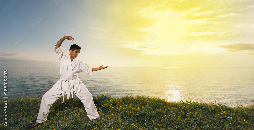 Kid training karate on the nature. Beautiful sea and sunset sky on  background. Wide banner edition. Stock Photo | Adobe Stock