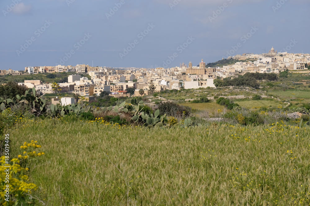 Town Mgarr Malta